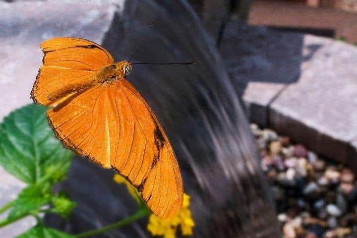 Riverbend Environmental Education Center