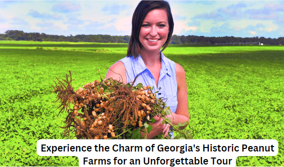 Peanut farms in Georgia for Tourism