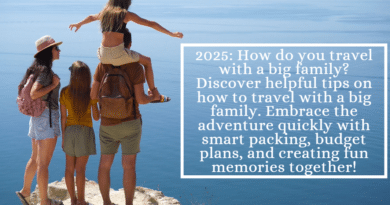 2025 How do you travel with a big family