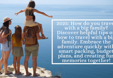 2025 How do you travel with a big family