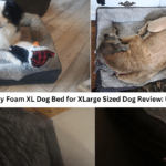 EHEYCIGA Memory Foam XL Dog Bed for XLarge Sized Dog Review: Ultimate Comfort!