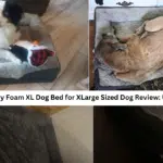 EHEYCIGA Memory Foam XL Dog Bed for XLarge Sized Dog Review: Ultimate Comfort!