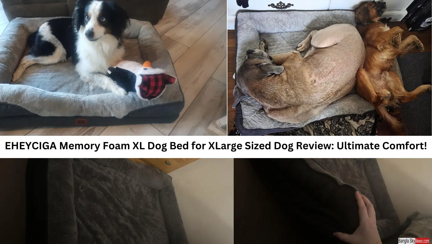 EHEYCIGA Memory Foam XL Dog Bed for XLarge Sized Dog Review: Ultimate Comfort!