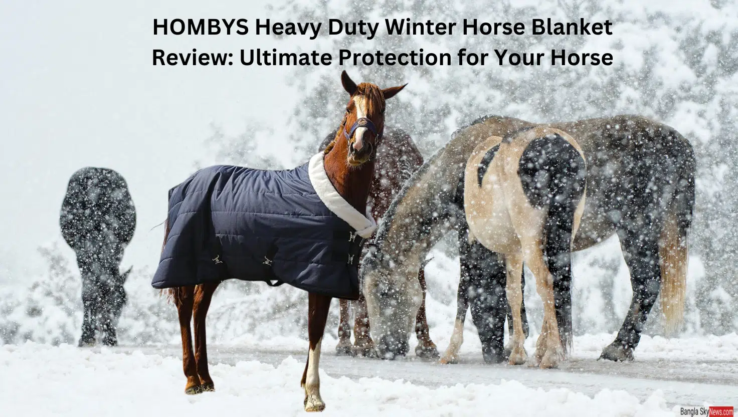 HOMBYS Heavy Duty Winter Horse Blanket Review: Ultimate Protection for Your Horse