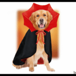 Jaw-Dropping! The Dog Halloween Costume Dog Vampire is Perfect.